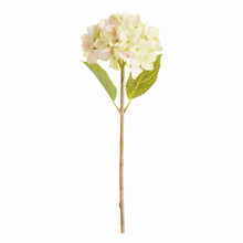 Load image into Gallery viewer, HYDRANGEA STEMS 18", SET OF 6