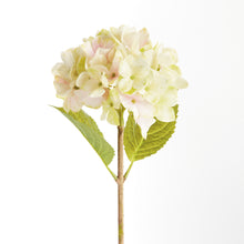 Load image into Gallery viewer, HYDRANGEA STEMS 18", SET OF 6
