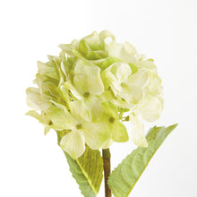 Load image into Gallery viewer, HYDRANGEA STEMS 18", SET OF 6