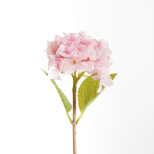 Load image into Gallery viewer, HYDRANGEA STEMS 18", SET OF 6
