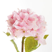 Load image into Gallery viewer, HYDRANGEA STEMS 18", SET OF 6