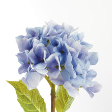 Load image into Gallery viewer, HYDRANGEA STEMS 18", SET OF 6