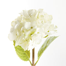 Load image into Gallery viewer, HYDRANGEA STEMS 18", SET OF 6