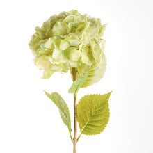 Load image into Gallery viewer, MOPHEAD HYDRANGEA STEMS 30.5", SET OF 4