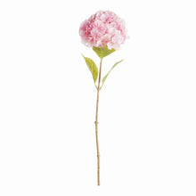 Load image into Gallery viewer, MOPHEAD HYDRANGEA STEMS 30.5", SET OF 4