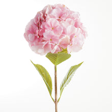 Load image into Gallery viewer, MOPHEAD HYDRANGEA STEMS 30.5", SET OF 4