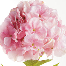 Load image into Gallery viewer, MOPHEAD HYDRANGEA STEMS 30.5", SET OF 4
