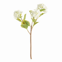 Load image into Gallery viewer, HYDRANGEA BRANCHES 31", SET OF 2