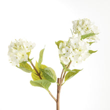 Load image into Gallery viewer, HYDRANGEA BRANCHES 31", SET OF 2