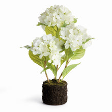 Load image into Gallery viewer, HYDRANGEA DROP-IN 18"