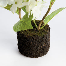Load image into Gallery viewer, HYDRANGEA DROP-IN 18"