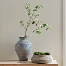 Load image into Gallery viewer, MOSS ORBS 4" ST/6