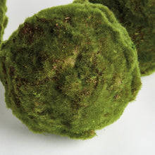 Load image into Gallery viewer, MOSS ORBS 7" ST/3