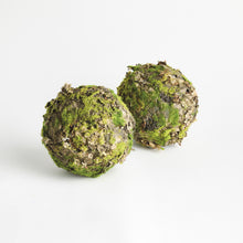 Load image into Gallery viewer, MOSSY LICHEN ORBS 8" ST/2
