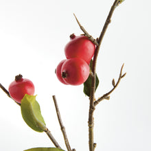 Load image into Gallery viewer, CRABAPPLE STEMS ST/6