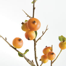 Load image into Gallery viewer, CRABAPPLE STEMS ST/6