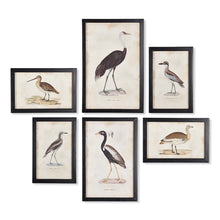 Load image into Gallery viewer, Waterfowl Gallery, Set of 6