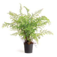 Load image into Gallery viewer, SOFT FERN DROP-IN 36"