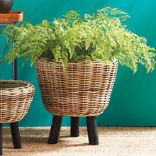 Load image into Gallery viewer, SOFT FERN DROP-IN 36"