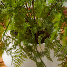 Load image into Gallery viewer, SOFT FERN DROP-IN 36"