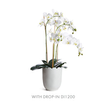 Load image into Gallery viewer, MIRABELLE SCALLOPED EDGE CACHEPOT