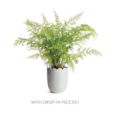 Load image into Gallery viewer, MIRABELLE SCALLOPED EDGE CACHEPOT