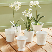 Load image into Gallery viewer, MIRABELLE MINI CACHEPOTS, SET OF 6
