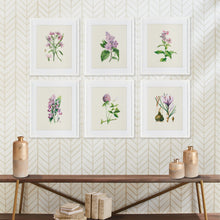 Load image into Gallery viewer, Flower Study Prints, Set of 6