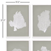 Load image into Gallery viewer, Coral Fans Study, Set of 4