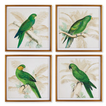 Load image into Gallery viewer, GREEN PARROTS STUDY, SET OF 4