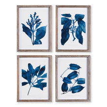Load image into Gallery viewer, INDIGO BOTANICALS, SET OF 4