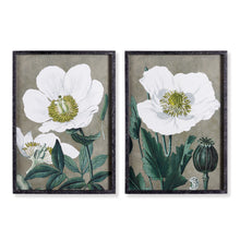 Load image into Gallery viewer, POPPY PRINTS, SET OF 2