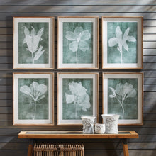 Load image into Gallery viewer, TRANSLUCENT FLORAL PRINTS, SET OF 6