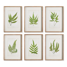 Load image into Gallery viewer, FOREST GREENERY PRINTS, SET OF 6