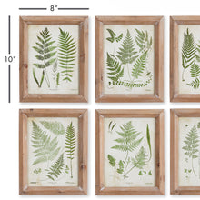 Load image into Gallery viewer, FOREST GREENERY PRINTS, SET OF 6