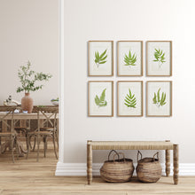 Load image into Gallery viewer, FOREST GREENERY PRINTS, SET OF 6
