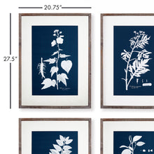 Load image into Gallery viewer, CYANO BOTANICAL LEAF STUDY, SET OF 4