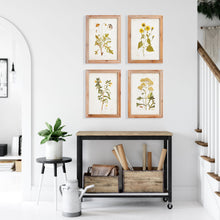 Load image into Gallery viewer, GOLDEN WILDFLOWER STUDY, SET OF 4