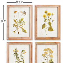 Load image into Gallery viewer, GOLDEN WILDFLOWER STUDY, SET OF 4