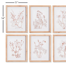 Load image into Gallery viewer, BOTANICALS IN BLUSH PRINTS, SET OF 6