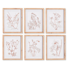 Load image into Gallery viewer, BOTANICALS IN BLUSH PRINTS, SET OF 6