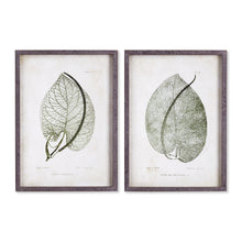 Load image into Gallery viewer, CORDATE LEAF STUDY, SET OF 2
