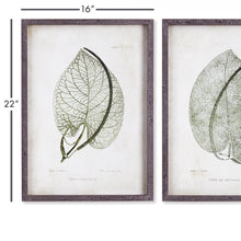 Load image into Gallery viewer, CORDATE LEAF STUDY, SET OF 2