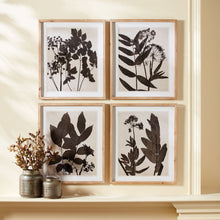 Load image into Gallery viewer, PRESSED FOLIAGE PRINTS, SET OF 4
