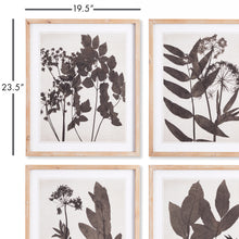 Load image into Gallery viewer, PRESSED FOLIAGE PRINTS, SET OF 4