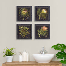 Load image into Gallery viewer, PROTEA PETITE PRINTS, SET OF 4