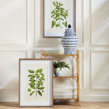Load image into Gallery viewer, GUAVA PRINTS, SET OF 2