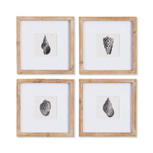 Load image into Gallery viewer, SEASHELL PETITE PRINTS, SET OF 4