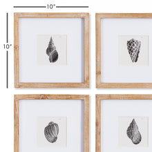 Load image into Gallery viewer, SEASHELL PETITE PRINTS, SET OF 4