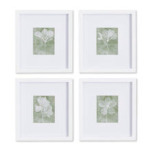 Load image into Gallery viewer, TRANSLUCENT FLORAL PETITE PRINTS, SET OF 4
